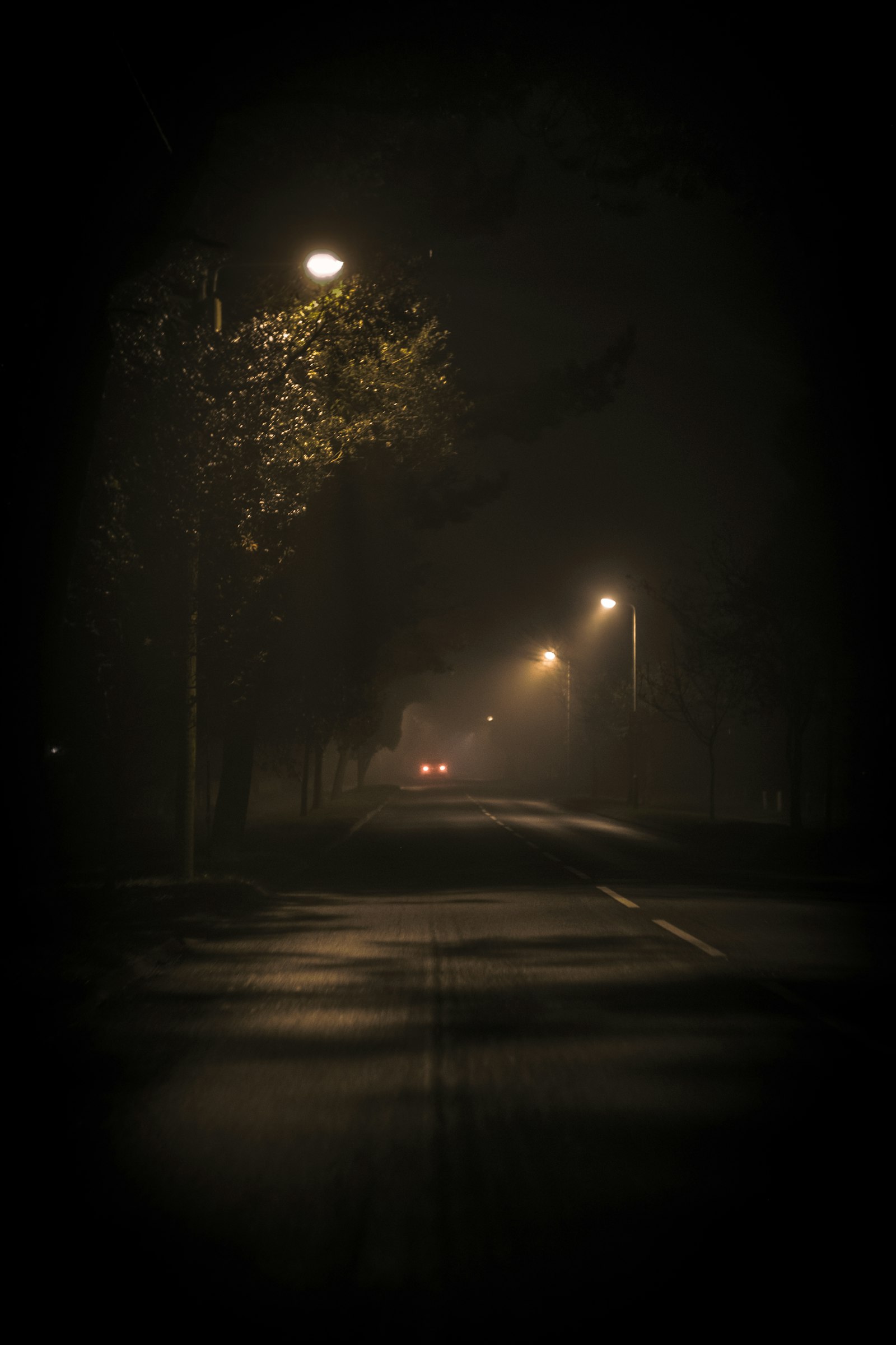 A foggy street at night lit by street lamps