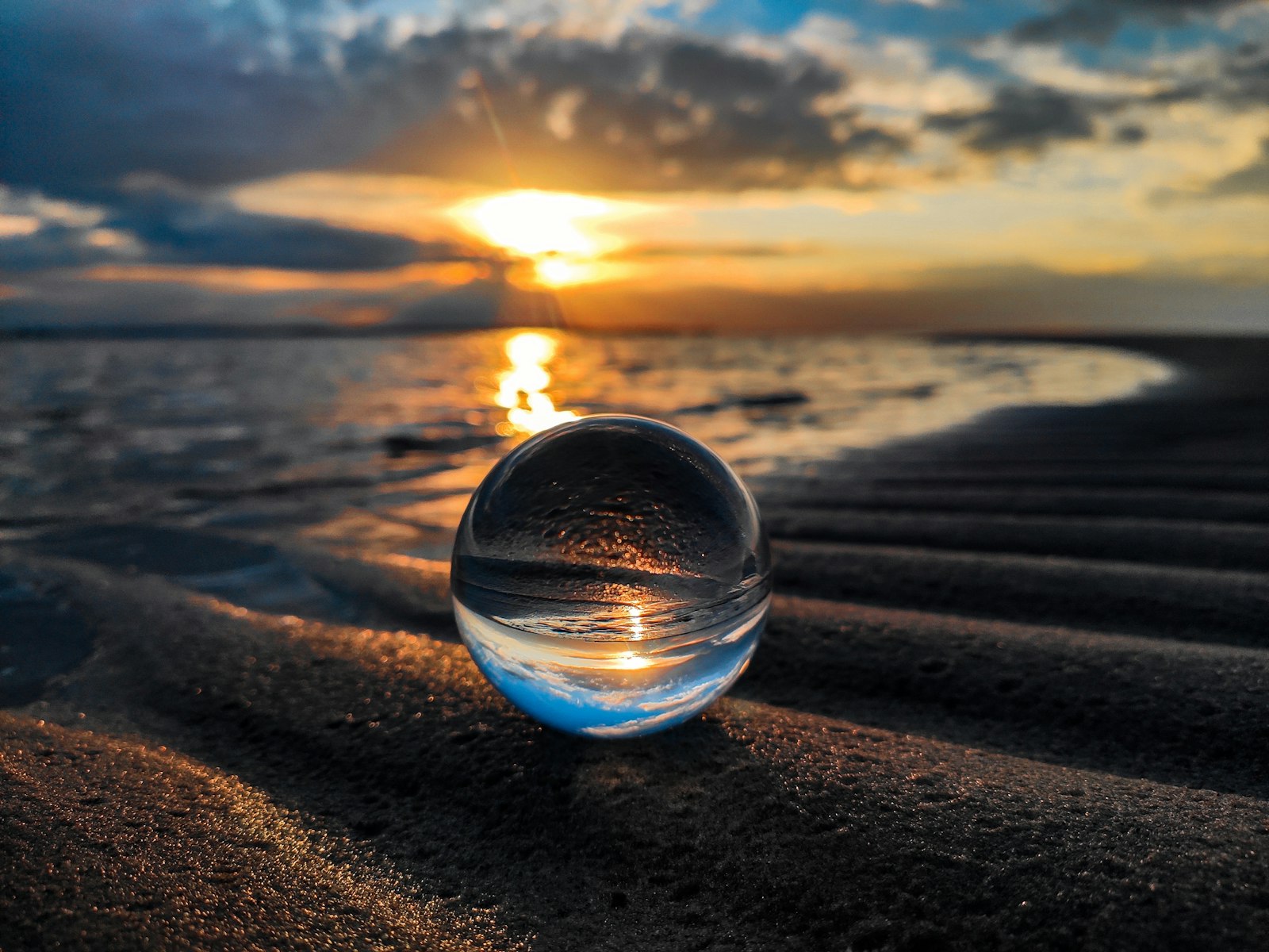 Donald Hoffman and the Interface Theory: You Have Never Seen Reality